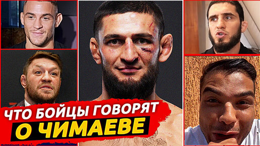 ДИКАЯ РЕАКЦИЯ БОЙЦОВ на ХАМЗАТА ЧИМАЕВА! ЧИМАЕВ vs КОСТА. Бойцы про Хамзата Чимаева. НОВОСТИ ММА