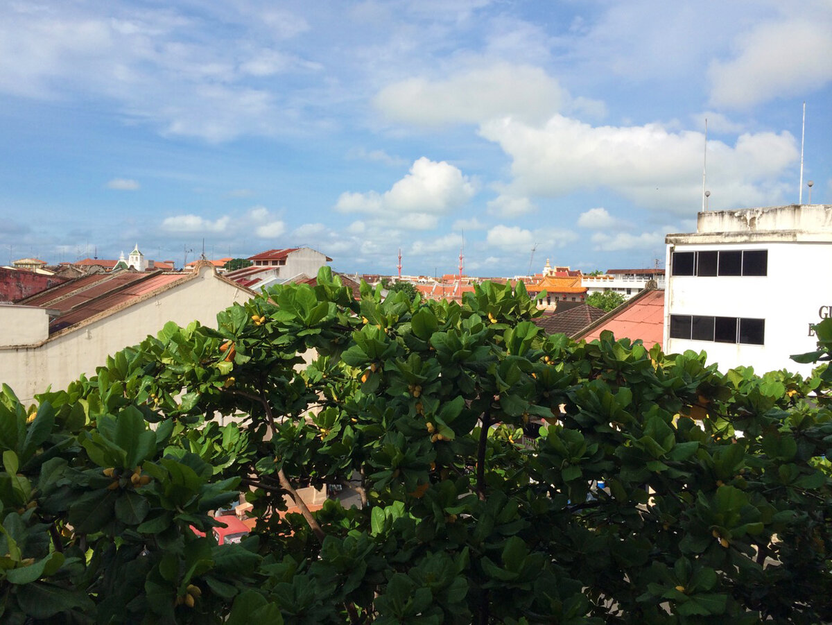 Вид из номера