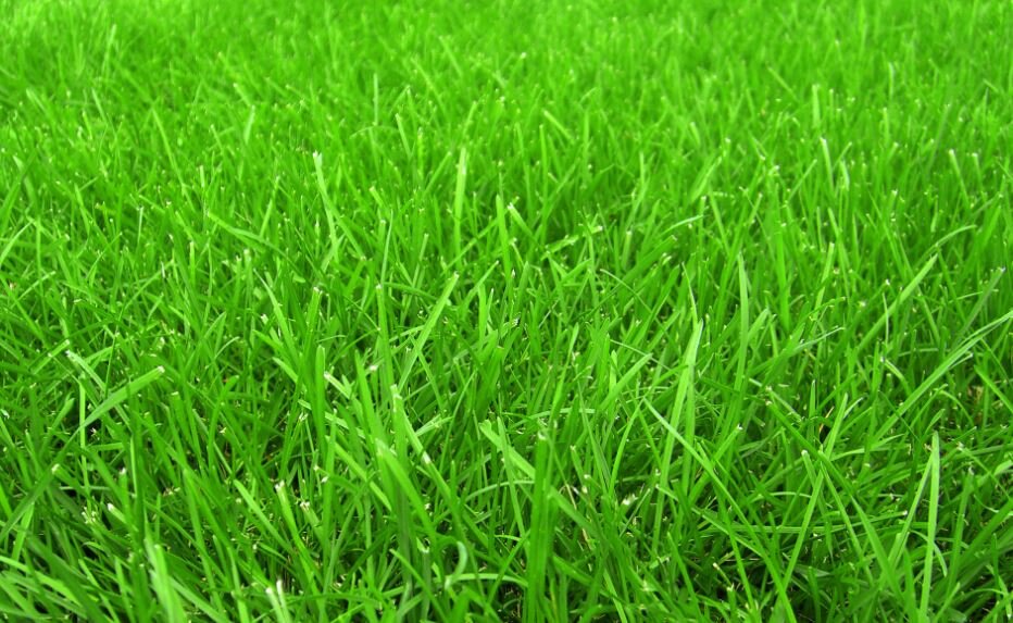 The grass is always greener on the other side. Везде хорошо, где нас нет.