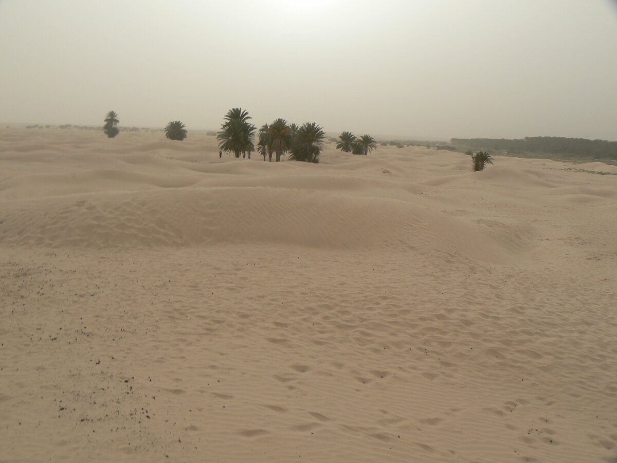 “Sahara Desert” by dougwoods is licensed under CC BY 2.0