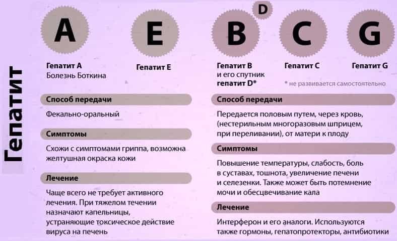 Диагностика и лечение гепатита