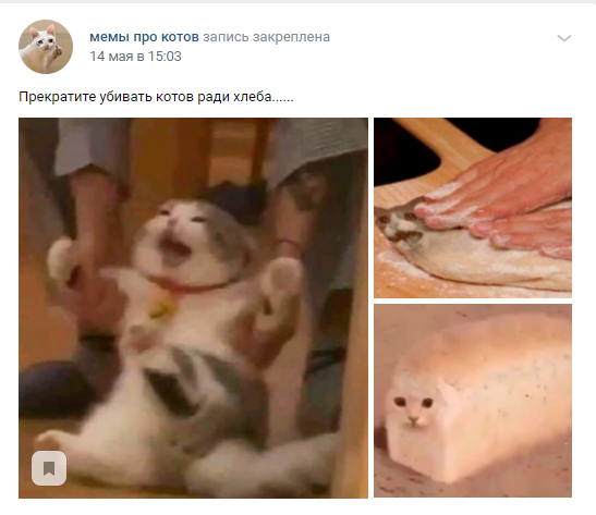 во сколько лет вы узнали что хлеб делают из котов