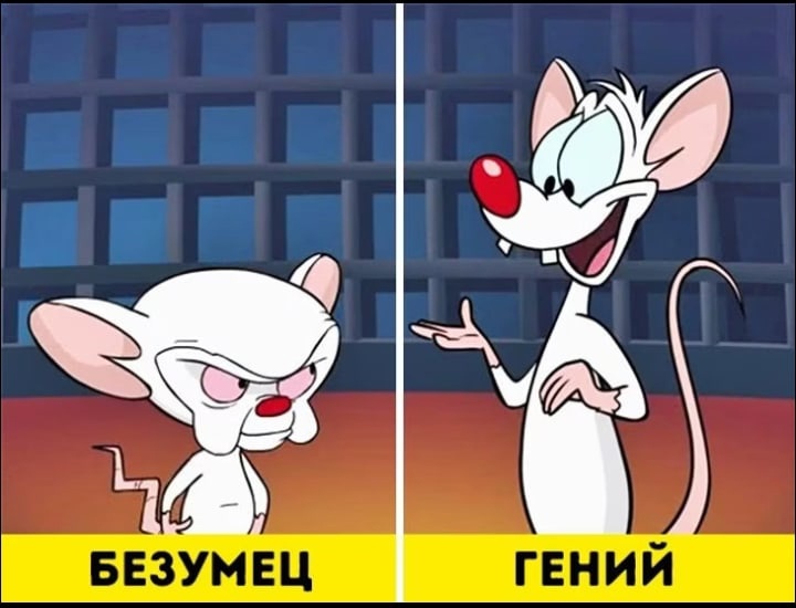 Фото взято из источника Google