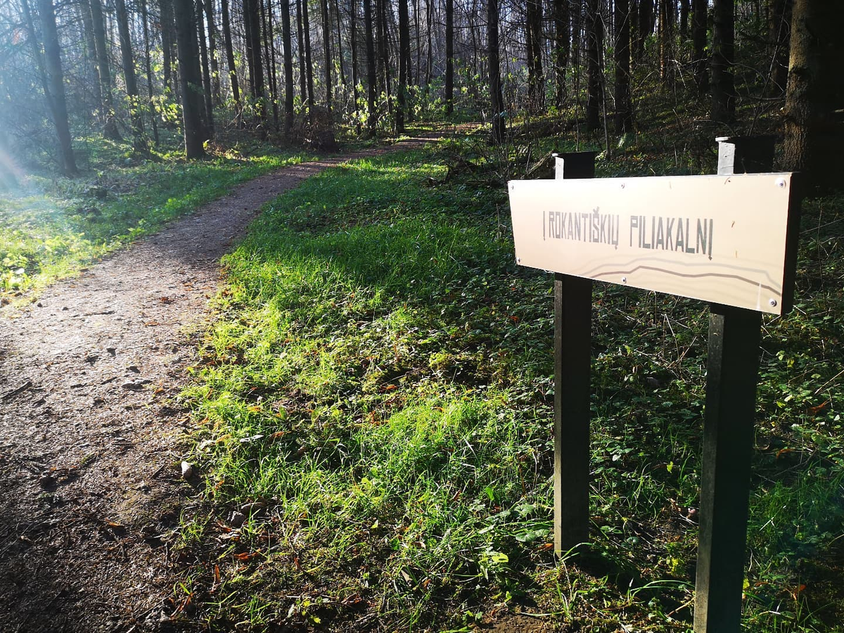 Пасмурное летнее утро. Сара мишель геллар я знаю что вы сделали прошлым летом. Девочка заблудилась в лесу. Дождливый луг. С днем россии гляжу в озера.