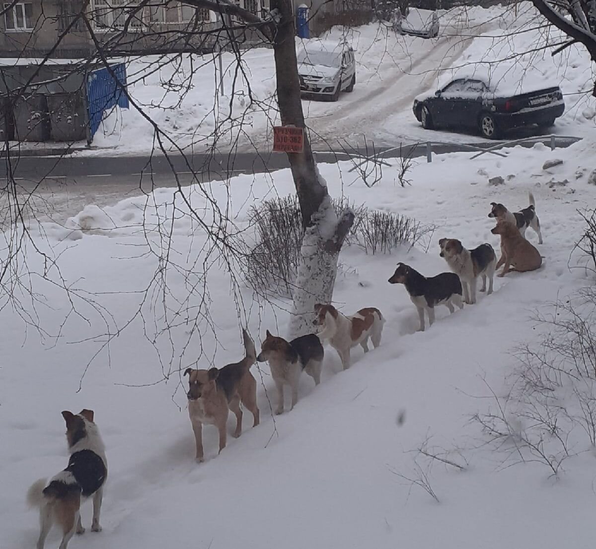 фото с сайта https://ryazannews.ru