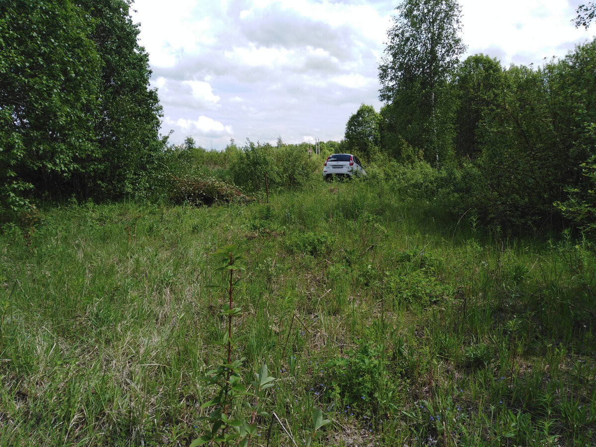 Общие виды изнутри)