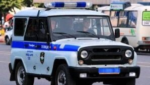Пеликан в полицейской машине