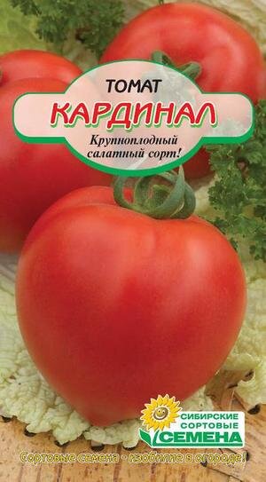 Лучшие сорта помидор для теплиц устойчивые к фитофторозу