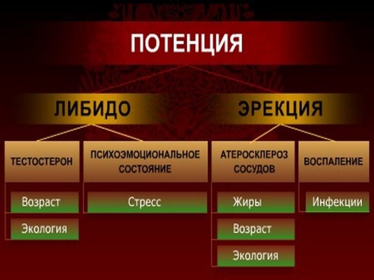 Без специальных препаратов: как повысить потенцию «в домашних условиях»