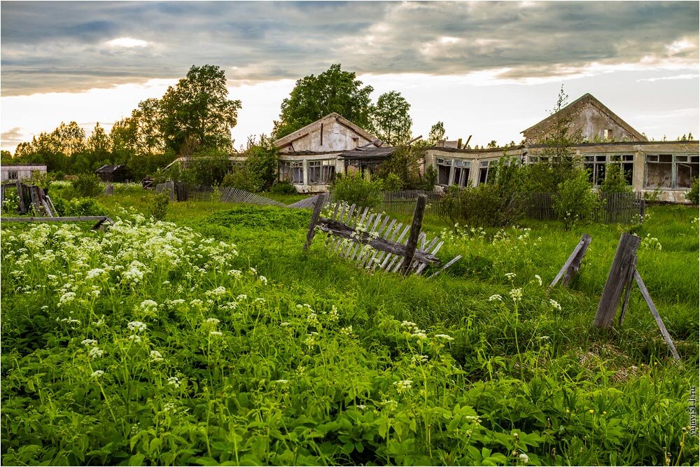 Поселок зеленник верхнетоемского района архангельской области. Села железное. Села железное. Тимоновичи семеновский черниговской. Можайская гора ленинградская область.