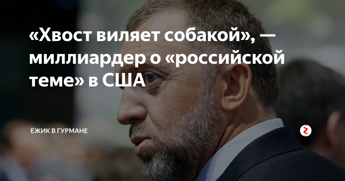 «Хвост виляет собакой», —миллиардер о «российской теме» в США | Ёжик в ...