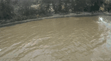 Ловко