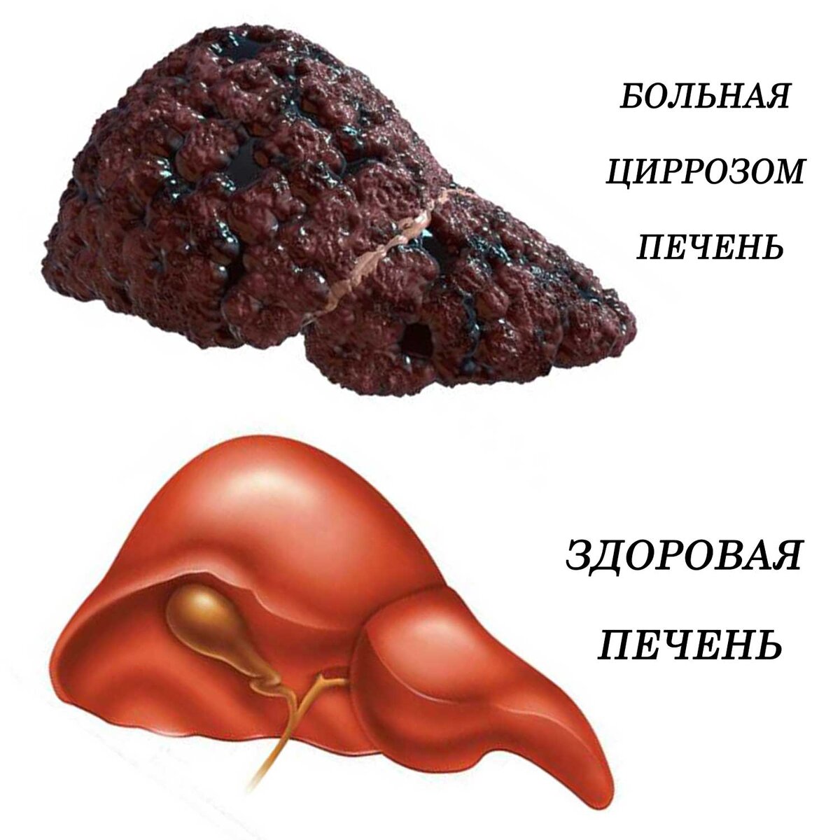 Источник: фото из сети интернет