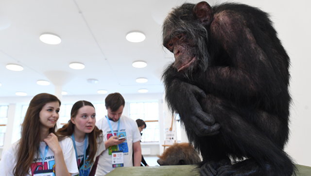  © РИА Новости / Сергей Пятаков