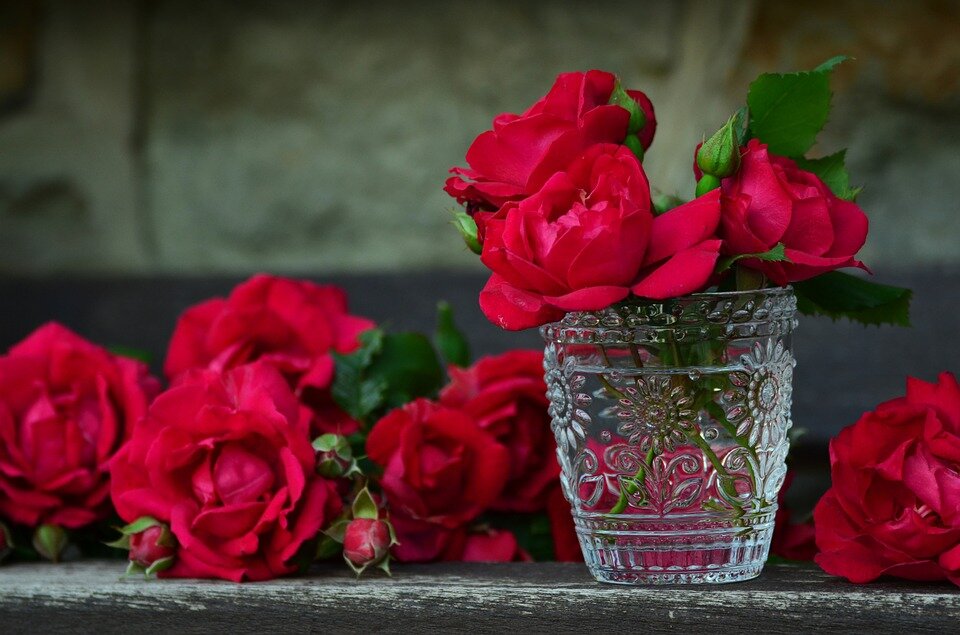 фото с сайта: pixabay.com