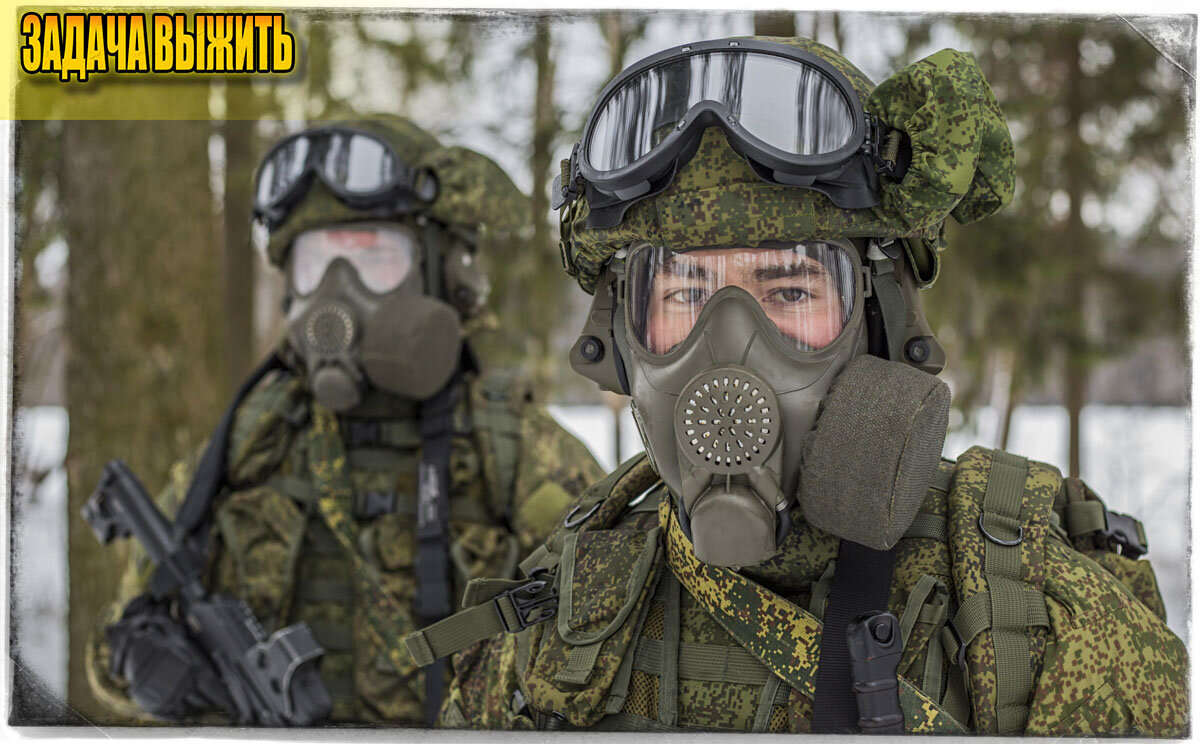 Источник: мультимедиа.минобороны.рф