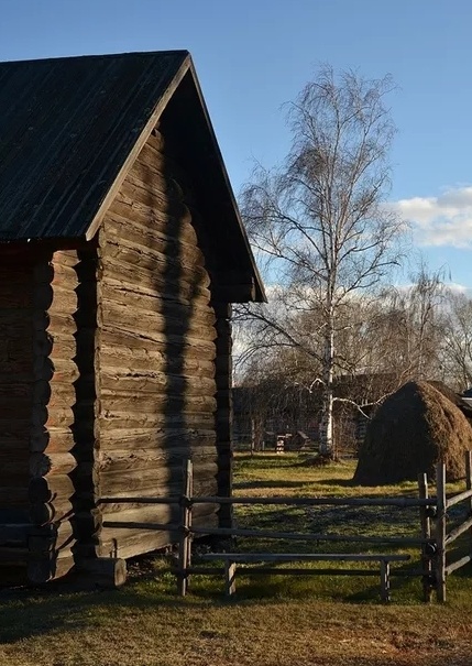 Фото: Яндекс Картинки