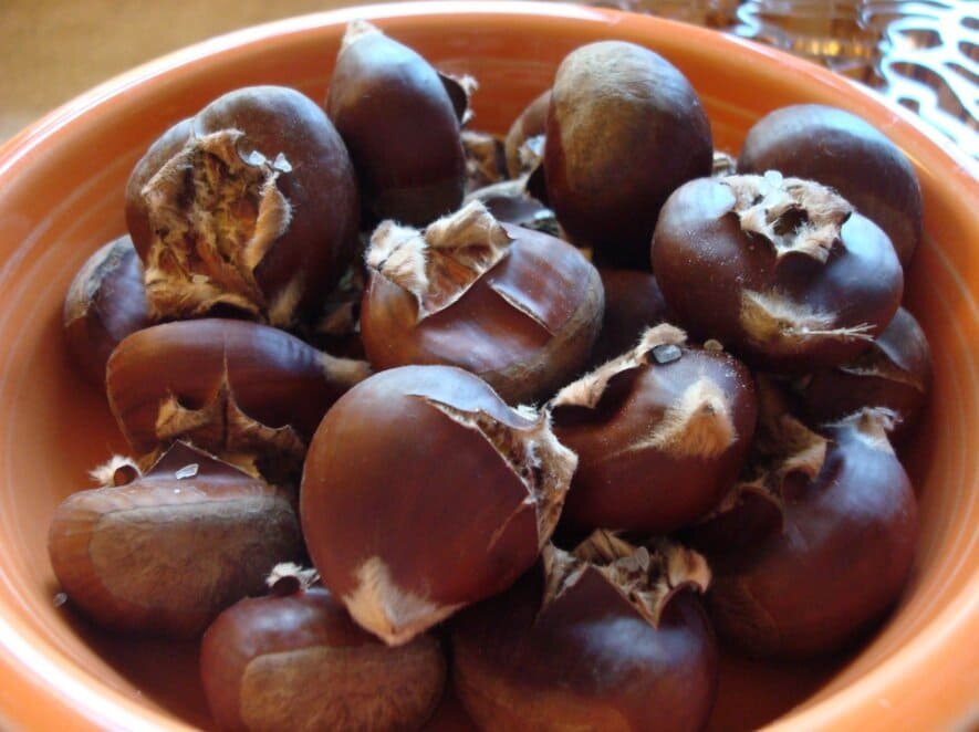 Каштан кушать. Каштан и фундук. Каштан орех жареный. Можно есть каштаны которые растут в москве. Плоды каштана съедобного.