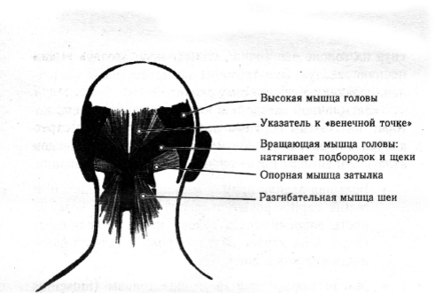 Самая опасная нечисть из славянской мифологии