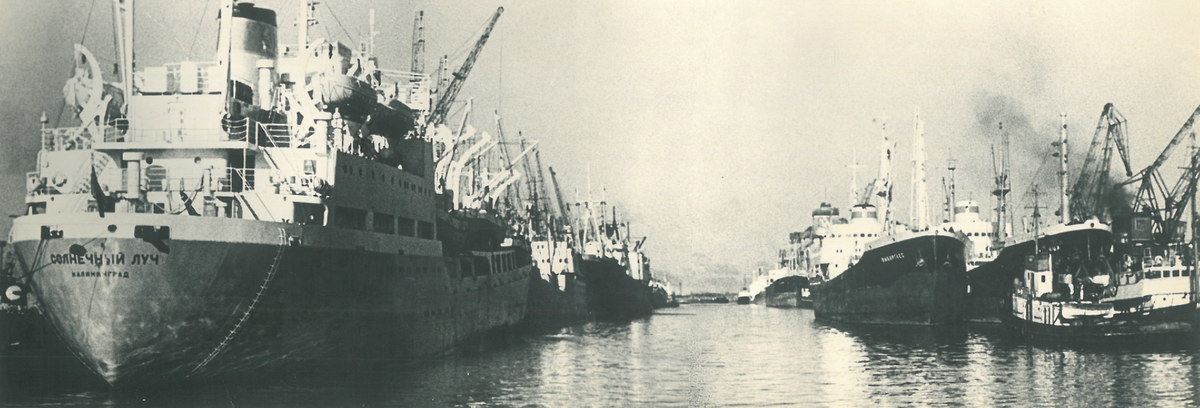 Калининградский рыбный порт