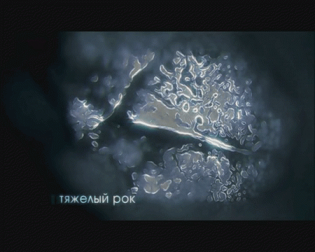 Фото образцов музыкальных и молитвенных "впечатлений" воды