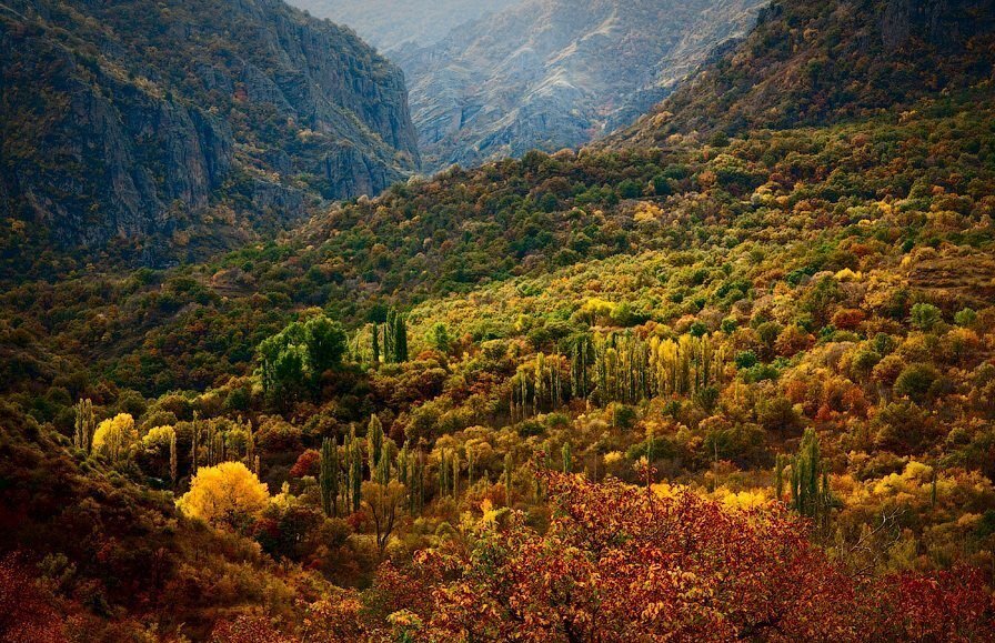 Хосровский заповедник. Современный вид.
