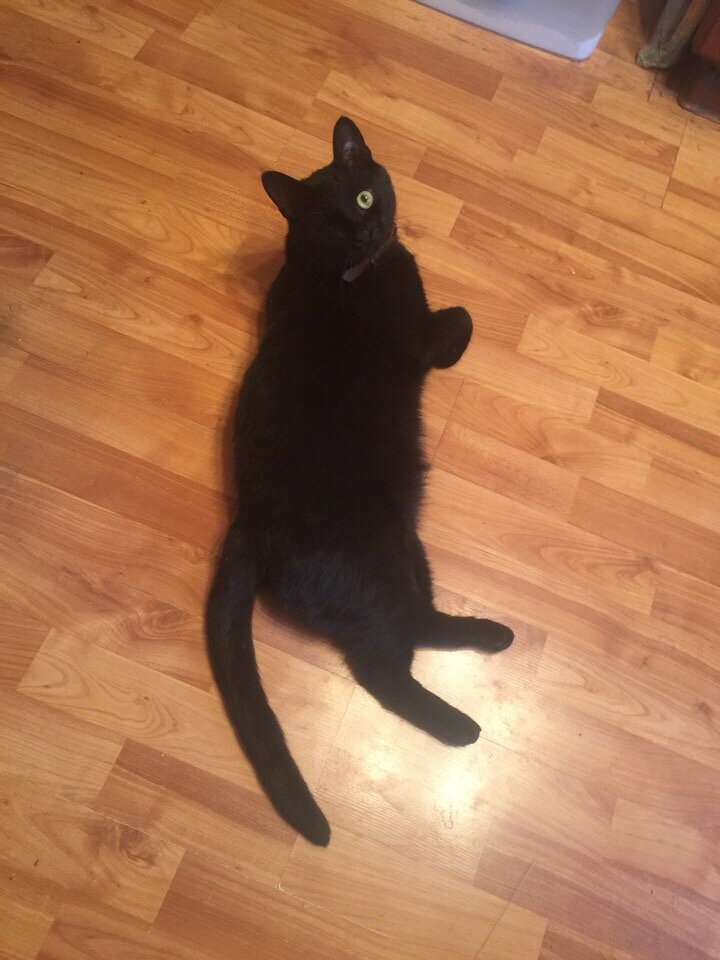 Источник: vk.com