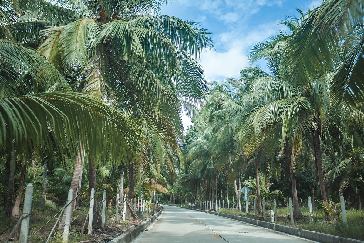 Новая дорога на острове Панган (Koh Phangan), что возле Самуи (Koh Samui)