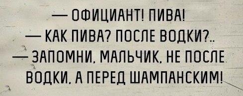                                                                                                                  ШЕФ