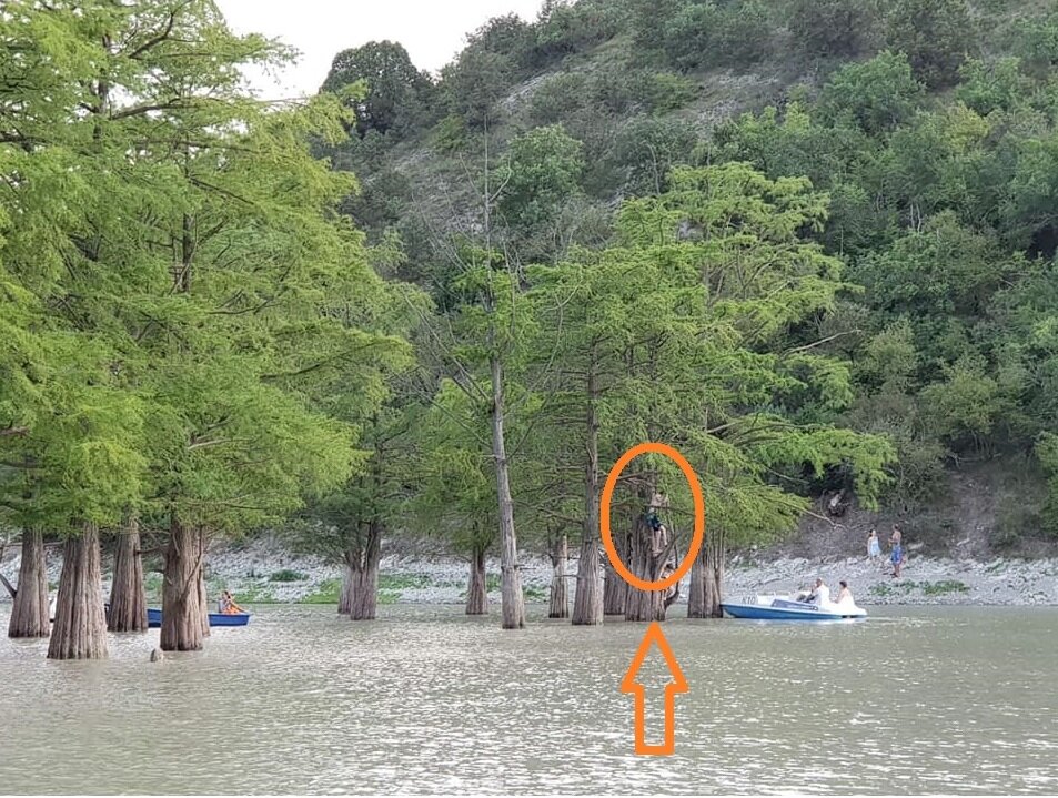 Просто вандалы...