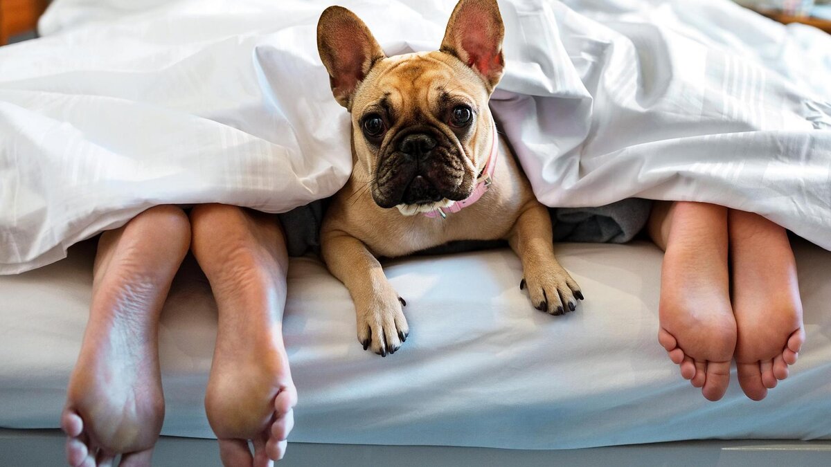 Источник фото: https://www.sheknows.com/wp-content/uploads/2018/08/vwejzyl4a2q62pxe5lgc.jpeg?resize=600