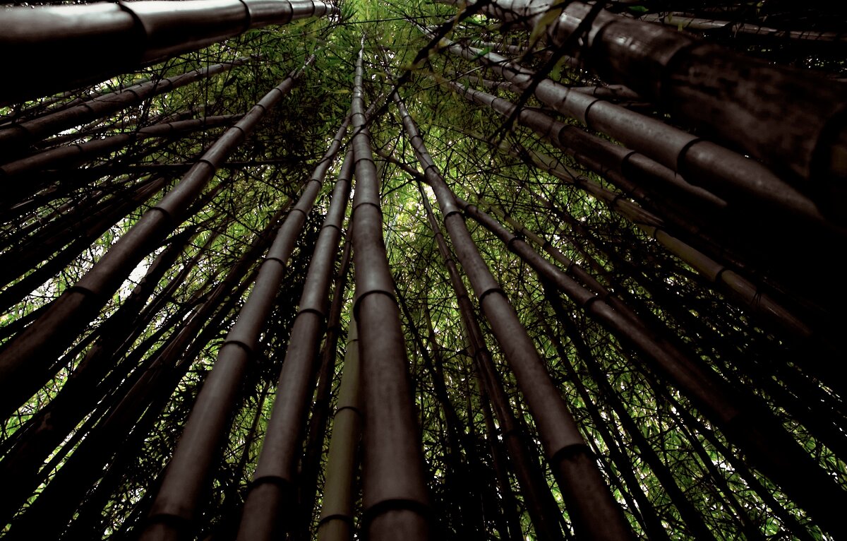 фото из открытых источников в сети Интернет