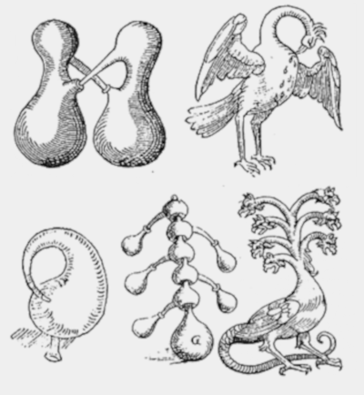 Алхимические сосуды. Иллюстрация из трактата «О дистилляции» (1609) Дж. делла Порта (1535? – 1615).