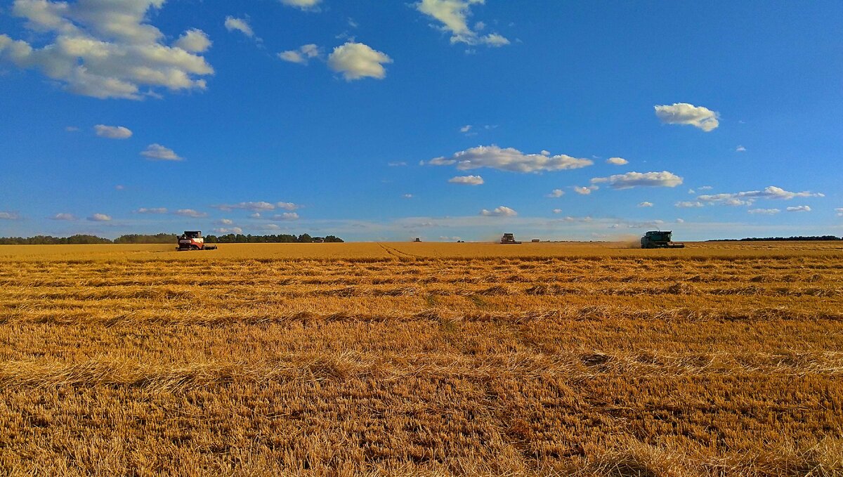 фото из личного архива