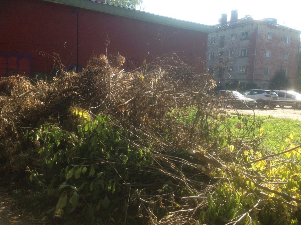 Во дворах улицы Короленко