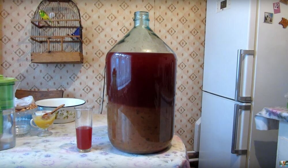 Самогон из жердей. Брага для самогона. Готовая Брага. Винная Брага.