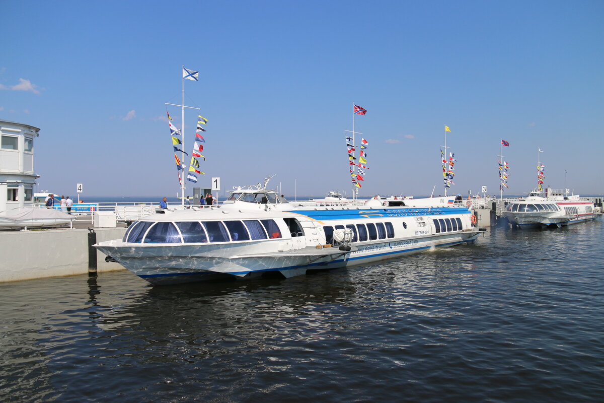 Нева тревел турбина