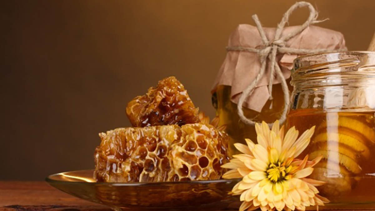 Изображение найдено в открытых источниках