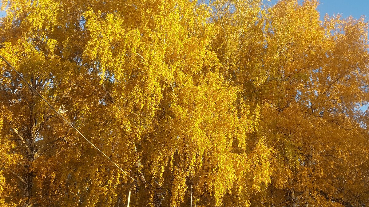 вот такая красота у нас еще стоит