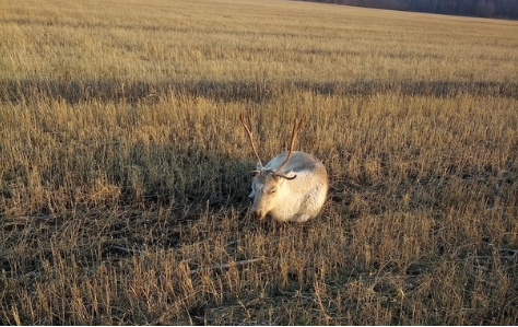 Фото: соцсети