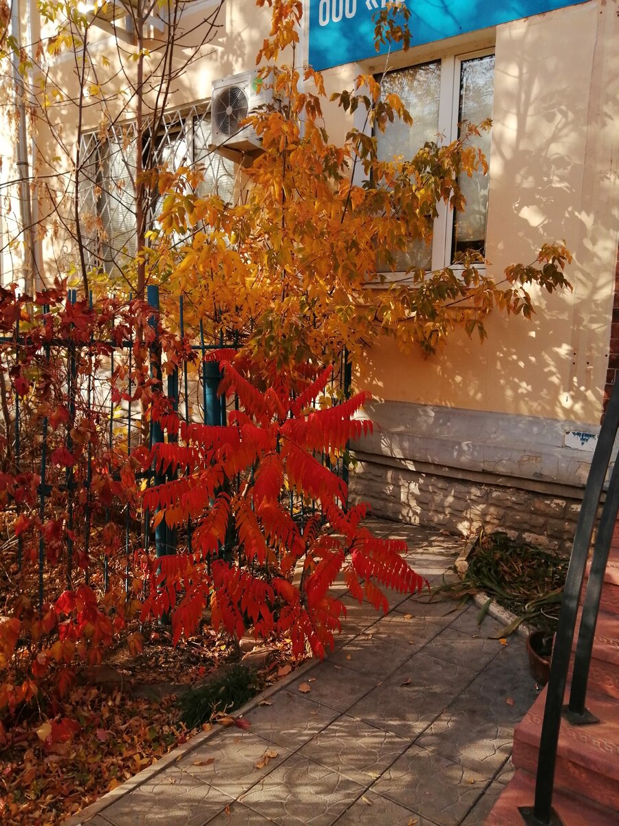 Ну не красота ли!..