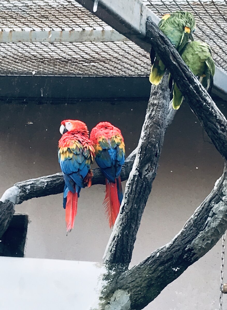 В Полнолуние будьте с любимыми 