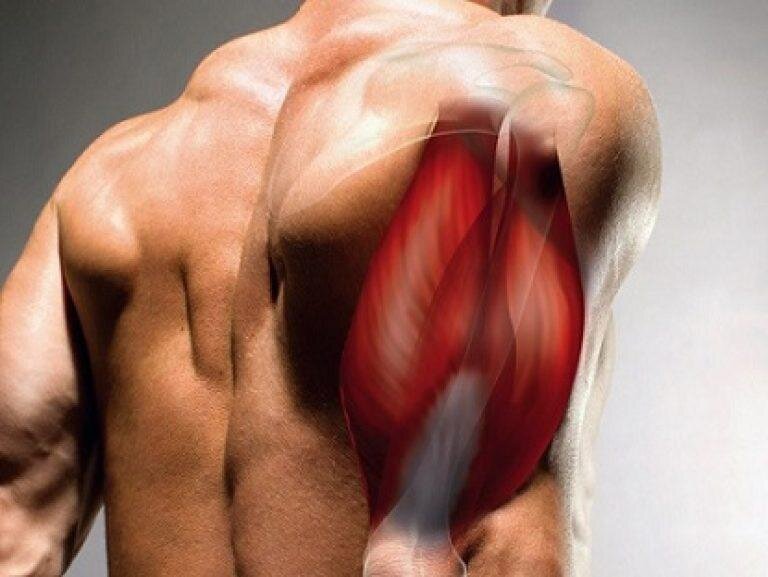 Взято из Яндекса.