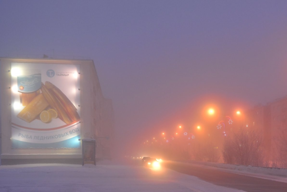 Ленинский проспект -35 градусов. Фото: Витас Бенета
