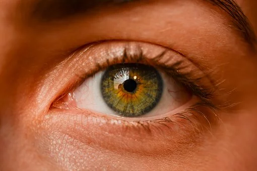 https://pixabay.com/photos/eye-iris-sight-eyebrows-detailed-2681783/