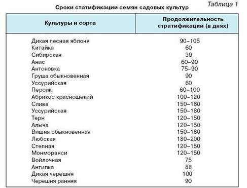 Способы стратификации семян – дома и на дачном участке