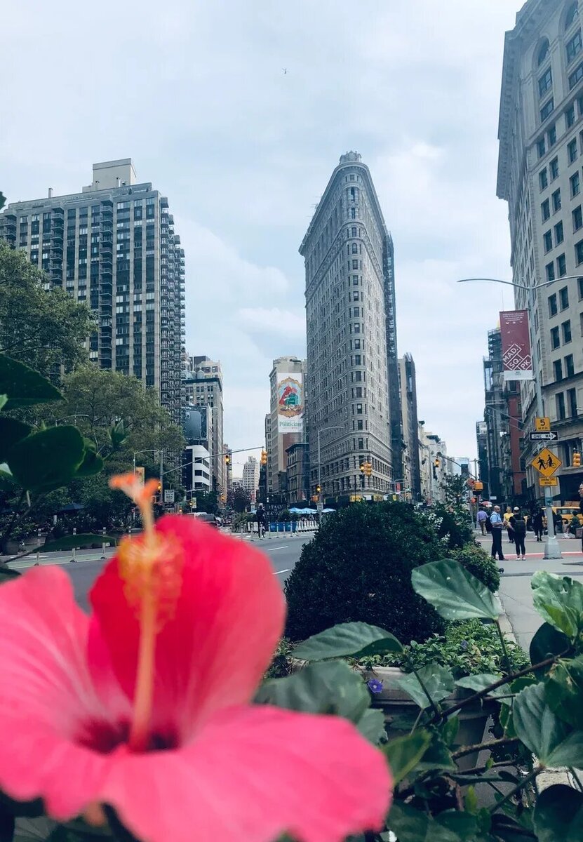 Флэтайрон-Билдинг, НЙ