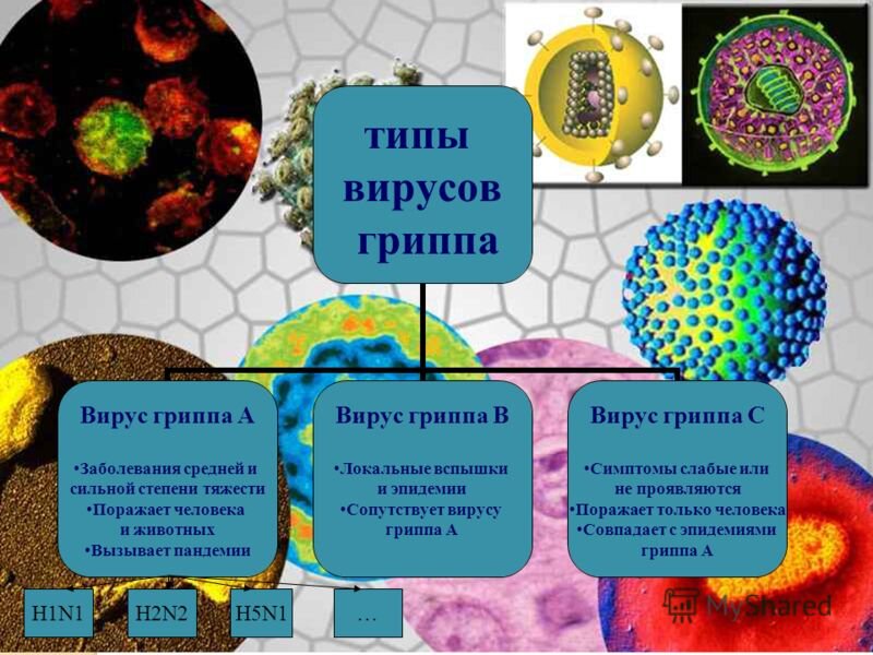 Типы гриппа а в с таблица