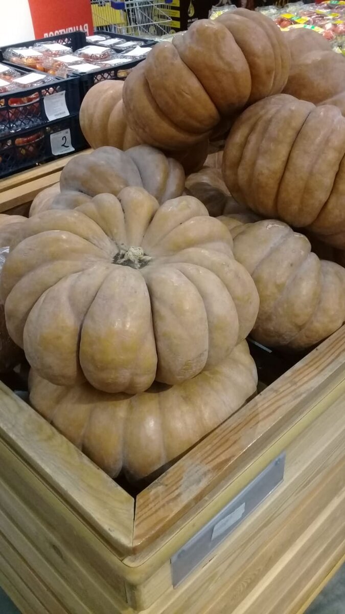Личное. Не было куска тыквы. А такую целую - это до конца моих дней.
