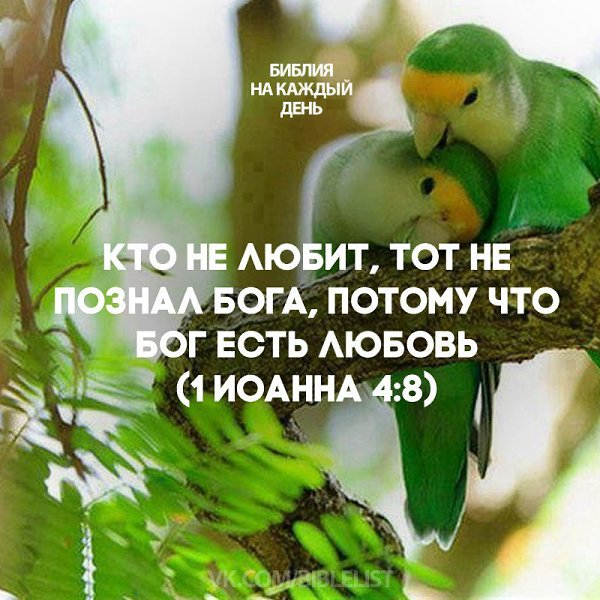 Картинка взята из общего и свободного доступа в интернет